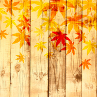 半田市　マンションの内装リフォーム工事　vol.3